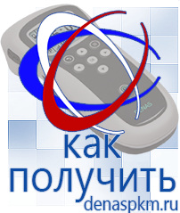 Официальный сайт Денас denaspkm.ru Выносные электроды Дэнас-аппликаторы в Владивостоке